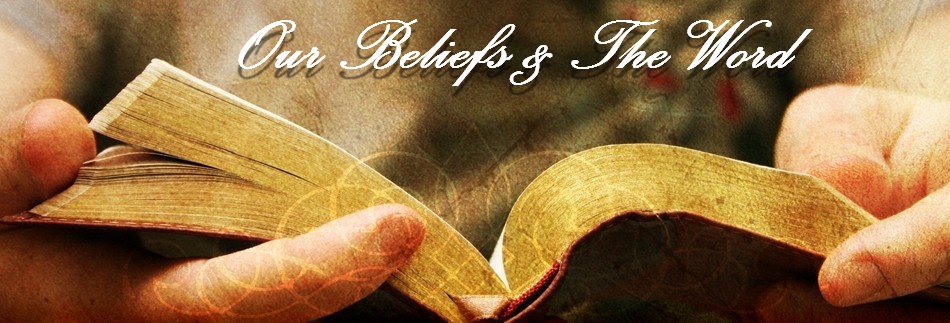 Bible Website Banner